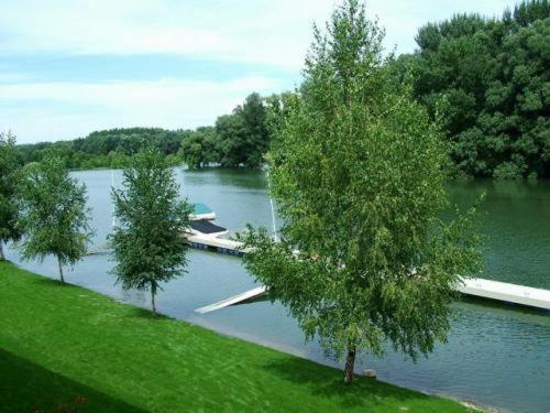 Amstel Hattyu Panzio -Erintesmentes Bejelentkezes เยอร์ ภายนอก รูปภาพ